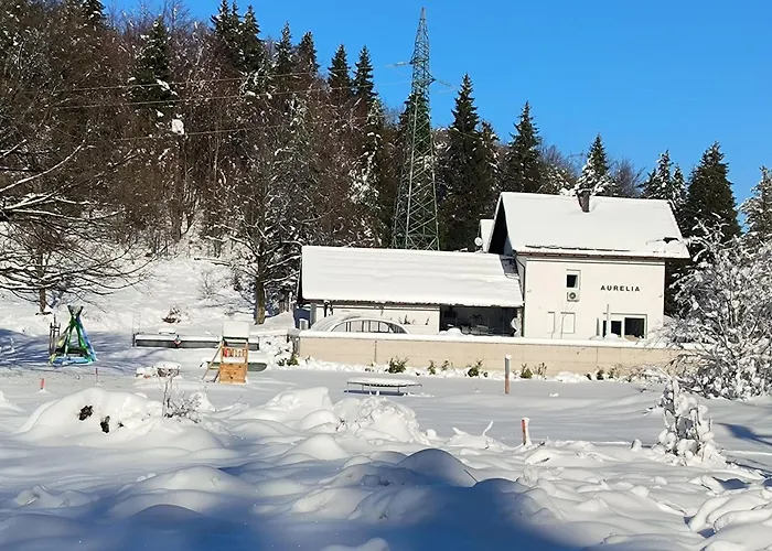 Aurelia With Pool And Wellness - Gorski Kotar Villa *