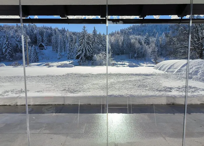 Aurelia With Pool And Wellness - Gorski Kotar *
