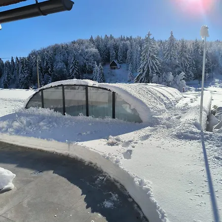 Aurelia With Heated Pool, Sauna & Wellness In Gorski Kotar Vrbovsko