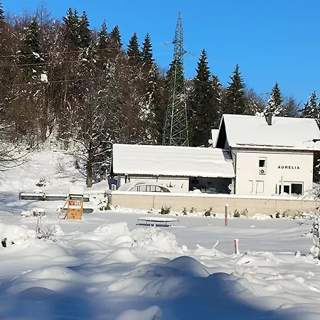 Aurelia With Heated Pool, Sauna & Wellness In Gorski Kotar Vila *